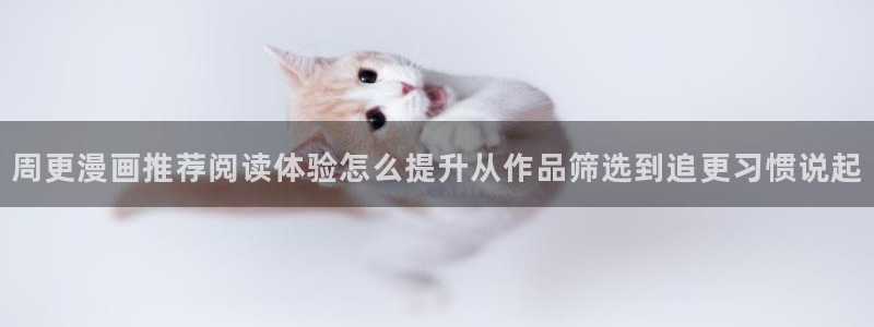 漫画岛更新列表