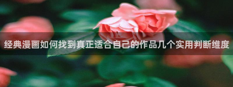 漫画岛入口导航：经典漫画如何找到真正适合自己的作品几个实用判断维度