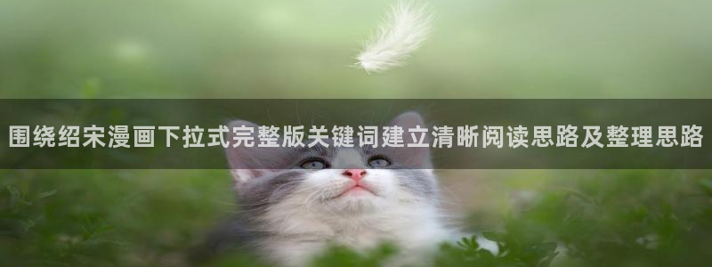 漫画岛网站入口导航